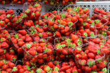 Transparent Plastic Boxes With Fresh Organic Red Strawberries Displayed For Sale At A Street Food Market