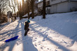 © Cavan Images - boy with hat on pulls blue sled up snowy hill as sun sets behind him