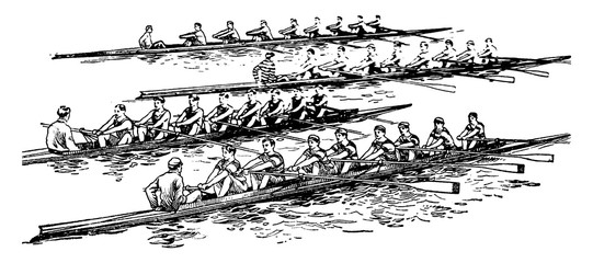 Canvas Print - Group rowing vintage illustration.