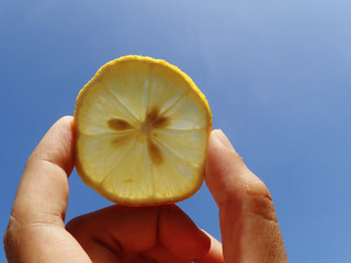 Wall Mural - Lemon fruit on blue background