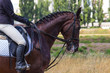 © 201122 - Rider in the saddle, the horse walks on the grass, part of the frame.