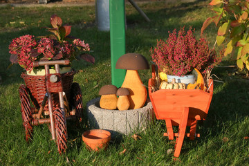 A garden in autumn  in Federal state of Brandenburg - Germany