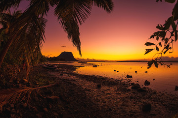 Coconut palm and low tide ocean at sunset time. Le Morn mountain on background