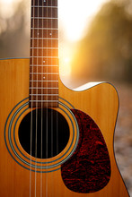 Acoustic Guitar In The Autumn Forest.