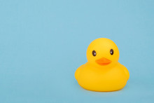 Bath Yellow Rubber Duck On Blue Background