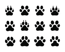 Trail Of A Wild Animal. Cat Or Dog. Wolf Or Lynx Vector Illustration Isolated Background