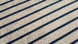 Fototapeta Dmuchawce - The sun's rays from the fence left striped shadows on the asphalt.