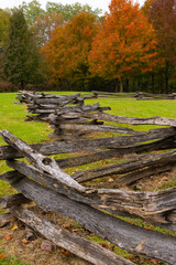 Wooden fence