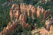Rocks and trees mixed in Bryce Canyon