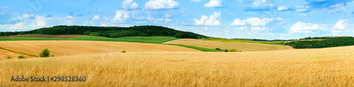 Fotografía beautiful landscape panoramic view of wheat field, ears and yellow and green hil