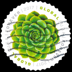 a postage stamp of serie global forever, printed in usa, that depict green succulent.