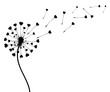 Abstract black dandelion silhouette with hearts, flying seeds of love dandelion - stock vector