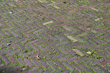 Herringbone Brick Pattern With Green Plants