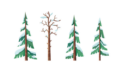 Snow-capped spruces flat vector illustrations set