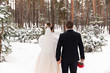 © Wedding photography - Winter wedding. Bride and groom hold hands and look at the snowy forest