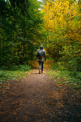 Wall Mural - A man with backpack walks in the amazing autumn forest. Hiking alone along autumn forest paths. Travel concept.