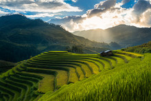 Beautiful View Of Rice Terrace At Mam Xoi Viewpoint In Mu Cang Chai District Yen Bai Province, Vietnam