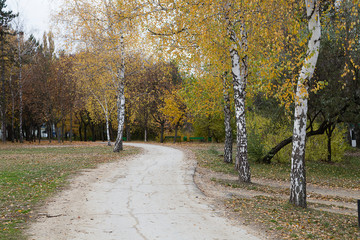 Wall Mural - Autumn at a public garden.