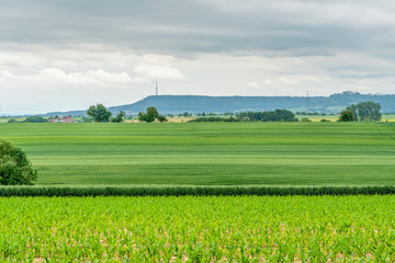 Wall Mural - rural scenery in Hohenlohe