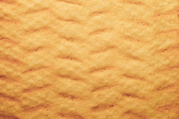 Cookie texture close up. baking macro background