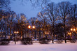 Festive romantic fairytale winter evening park landscape. Snow covered trees, Christmas light chains garland decoration and street lights.