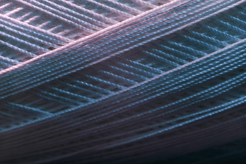 Poster - Close up beautiful white thread in red and blue light background texture. Macro Photography view.