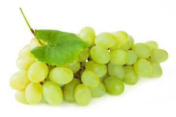 Wall Mural - Grapes branch isolated on white background