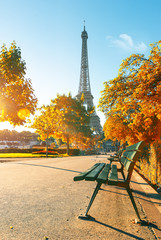 Fototapete - Eiffel Tower in autumn