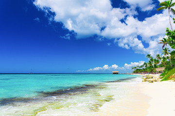 Wall Mural - caribbean beach arbor palm roof path to the sea