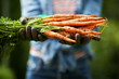 © mimagephotos - Close up gardener with bunch of carrots in hand outdoors