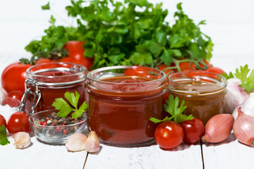 Wall Mural - fresh tomato sauce and ingredients on white background, horizontal