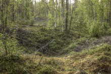 Remains Of An Ancient Trapping Pit Near At The Stream Skelleftalven In Vasterbotten, Sweden