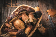 Close-up Of Edible Bay Bolete Forest Mushrooms In Basket On Wooden Rustic Background