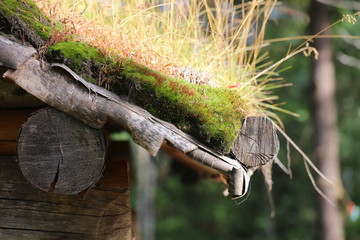 Wall Mural - Detail of sod roof in traditional Sami architecture