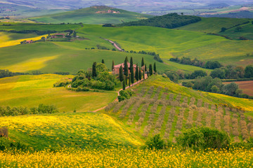 Fototapete - Tuscany spring landscape, Italy, Europe