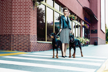 A girl walks along the street in the city along the building with two Dobermans on a leash.