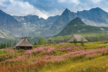 Mountain Landscape, Tatra Mountains Panorama, Poland Colorful Flowers And Cottages In Gasienicowa Valley (Hala Gasienicowa), Summer