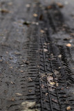 Fototapeta  - car wheel marks on muddy road