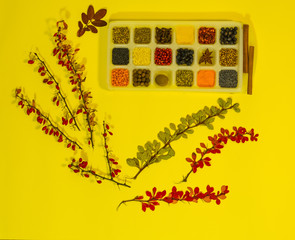 Wall Mural - Collage of plants. Autumn gifts of nature. Branches of barberry and colored leaves on a red background. Various spices, indian gifts, in a white dish.