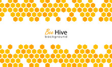 Honeycomb Background. Hexagon Beehive Design Isolated. Vector Illustration