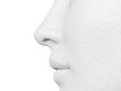 3d rendered medically accurate illustration of a wireframe nose