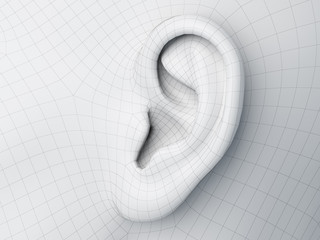 Wall Mural - 3d rendered medically accurate illustration of a wireframe ear