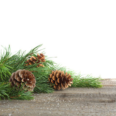pine cone and branch