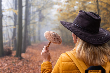 Wall Mural - autumn smell of forest. woman holding parasol mushroom in misty woodland