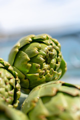 Wall Mural - Bunch of fresh raw artichokes heads from artichoke plantation in Argolida, Greece ready to cook