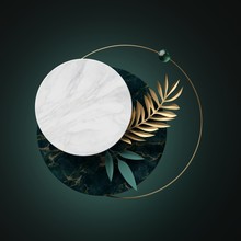3d Abstract Modern Minimal Background With Paper Palm Leaves, Black White Gold Round Banner Frames Isolated On Green, Marble Textures, Geometric Design, Blank Fashionable Mockup