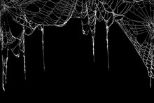Real Creepy Spider Webs Hanging On Black Banner As A Top Border
