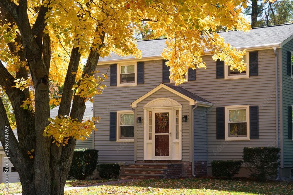 yellow autumn trees in front of houses in residential area - obrazy, fototapety, plakaty 