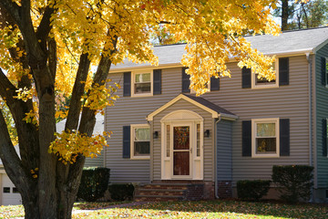 Poster - yellow autumn trees in front of houses in residential area