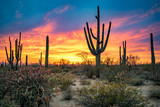 Fototapeta Zachód słońca - Dramatic Sunset in Arizona Desert: Colorful Sky and Cacti/ Saguaros in Foreground  - Saguaro National Park, Arizona, USA 